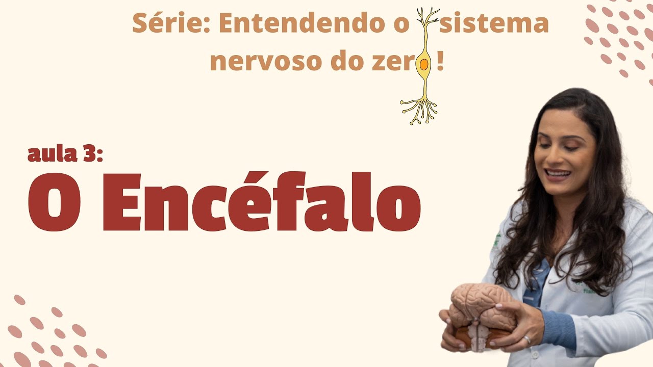 Entenda o sistema nervoso DO ZERO: Aula 3 - O Encéfalo