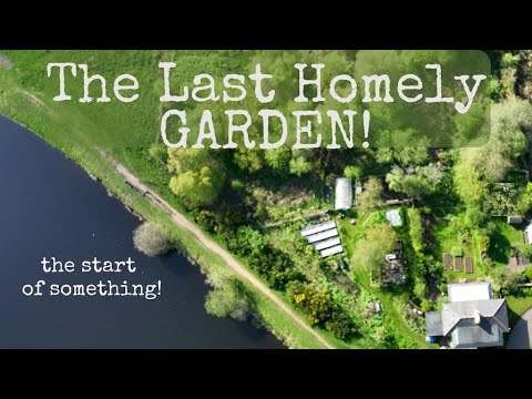 Welcome to The Last Homely GARDEN! #1