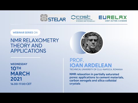 "NMR relaxation in partially saturated pores" by Prof. Ioan Ardelean