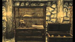 TESV. Skyrim. Мод "Он сражается за Неё"