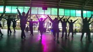 Higgs Bison (NIP) Cheerdance 2012