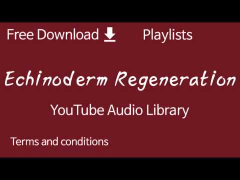 Echinoderm Regeneration | YouTube Audio Library