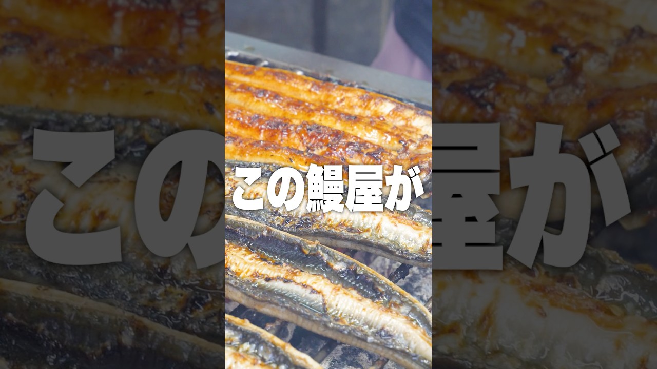 【高知グルメ】高知で鰻を買うなら北浜商店！【高知ランチ】