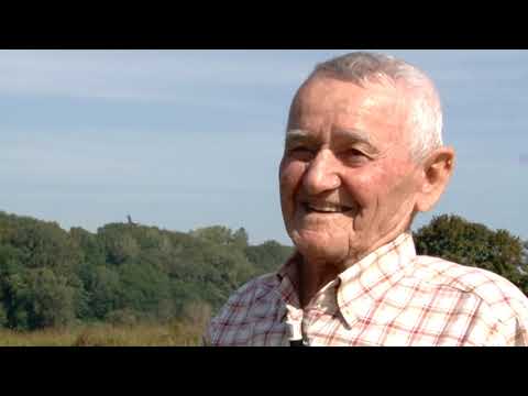 La Rana di Roreto di Cherasco