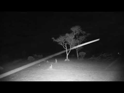 Djuma: Electrical storm over northern Sabi Sand-Pt:1 - 19:29 - 11/13/21