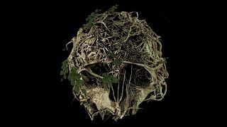 【The FOREST】アッソーレ♪ザ　フォーレ！！【THEFOREST実況】