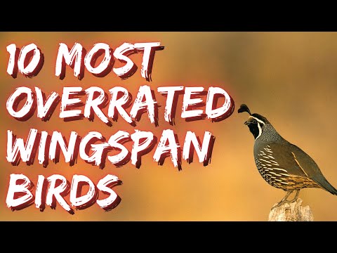 10 Most Overrated Birds in Wingspan! ft. Wingin' It