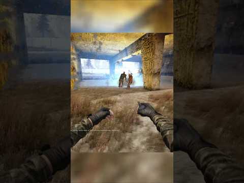 S.T.A.L.K.E.R. Anomaly: Anthology 2.0 - Zombies hate these special Grenades #stalkeranomaly