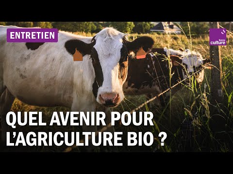 Qui défend encore l'agriculture biologique ?