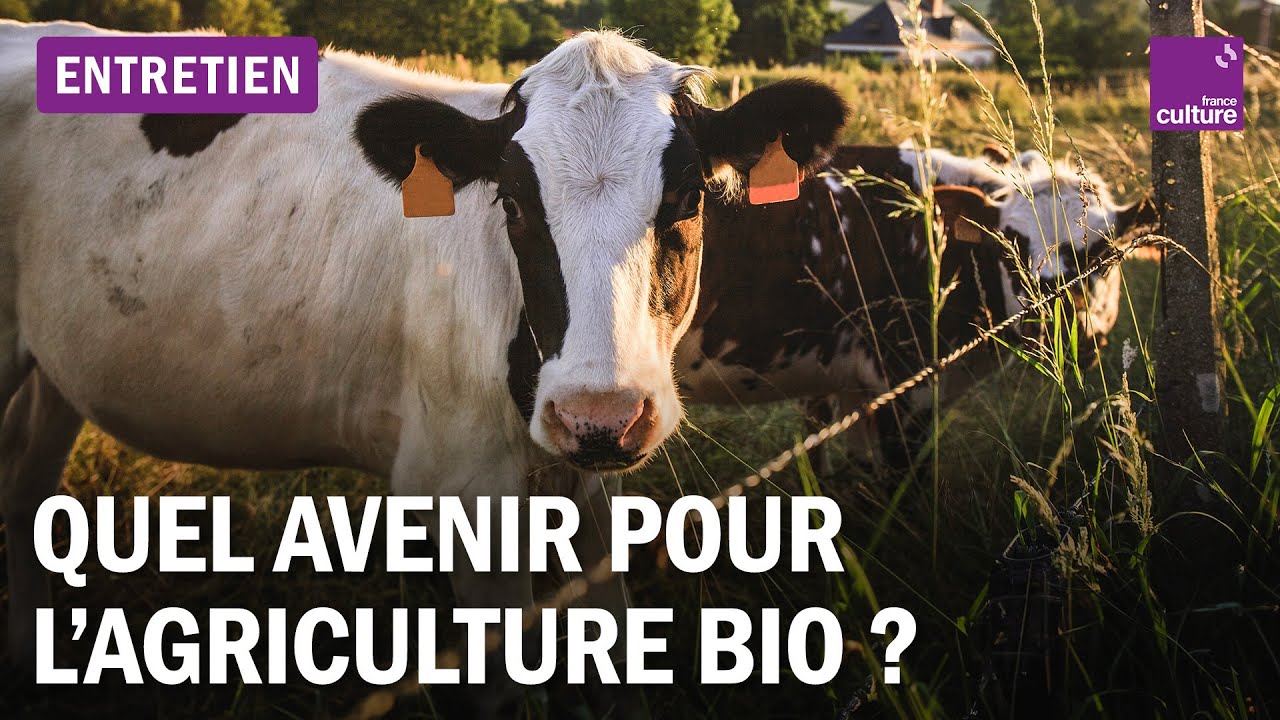 Qui défend encore l'agriculture biologique ?