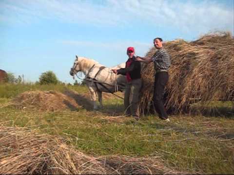 Vanagu TV Broliai Frankoniai