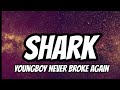 YoungBoy Never Broke Again Shark Lyrics