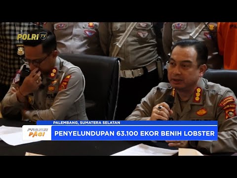 POLRESTABES PALEMBANG GAGALKAN UPAYA PENYELUNDUPAN BENIH LOBSTER ILEGAL