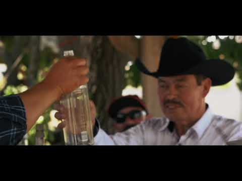 Miguel Angel Sanchez " Para Que Sufrir "