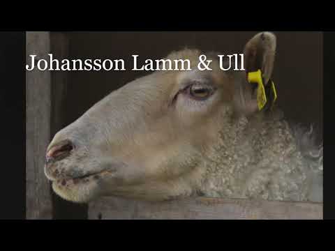 Konstrundan Påsk 2019 på Falbygden