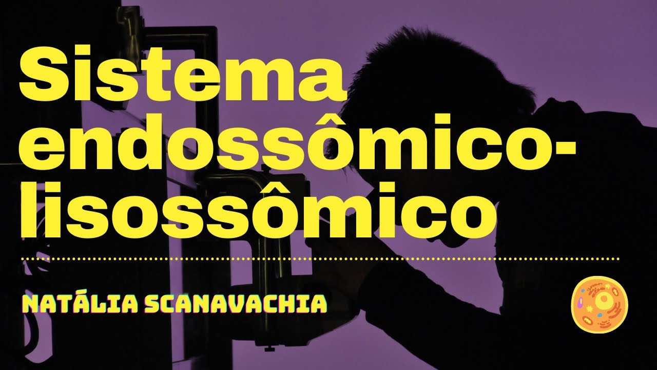 Sistema endossômico-lisossômico - UNICAMP (2020)