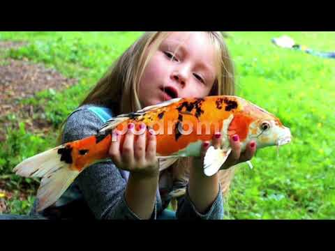 Flower Camping de la Trye - Camping Oise - Image N°2