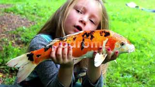 Flower Camping de la Trye - Camping Oise - Image N°2