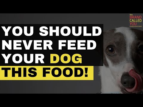 Leading Pet Nutritionist talks about Dog Diets, What to Eat, What to Avoid | Rashee Kuchroo | TBCY