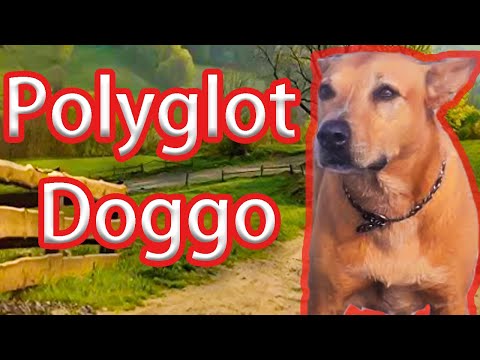 Polyglot's First YouTube Video | The Genesis