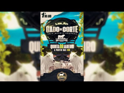 LEILÃO GADO DE CORTE FORMOSO LEILÕES - FORMOSO - GO - 08/01/2026