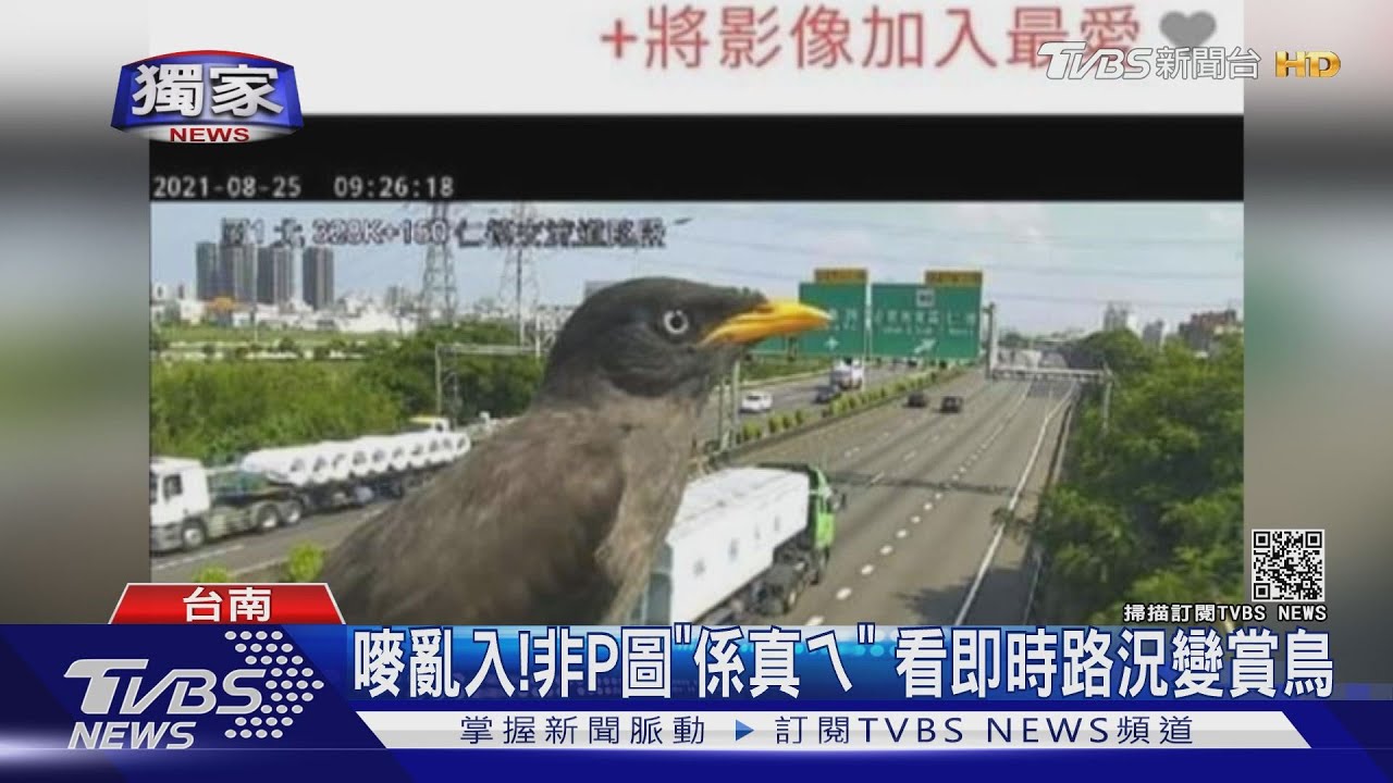 嘜亂入！不是P圖「係真ㄟ」　看國道即時路況變賞鳥