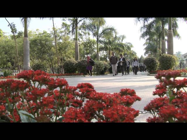 Don Bosco University Azara Guwahati vidéo #1
