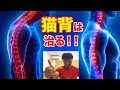 【猫背の治し方】自宅やオフィスで簡単にできる猫背改善方法