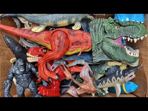 Caccia al morso di squalo, T-Rex, Mosasaurus, Velociraptor, Distortus Rex, Spinosaurus e altro an...