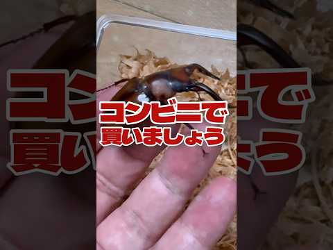 植物に噴霧する液体カリ石鹸