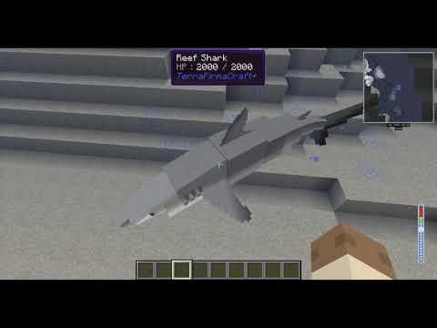 Reef Sharks! (TFC+ LoveTropics $6000 Reward)