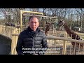 Dierentuinen blij met steunpakket, 'maar wat pas echt helpt is open kunnen'   [RTV Utrecht]