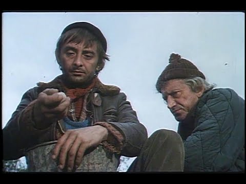 𝐅𝐮𝐜𝐡𝐚    polska klasyka z 1983 roku  Bez rekonstrukcji  Kociniakᛧ Bończakᛧ Baerᛧ Benoitᛧ Niemcz