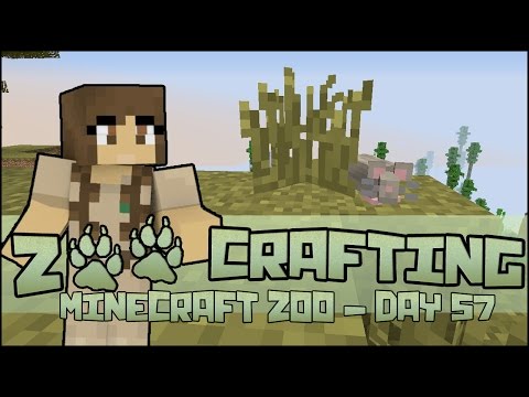 Wee Biological Curiosities! 🐘 Zoo Crafting: Season 2 - Episode #57