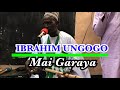 Garaya Kidan Mai Dawa,Ibrahim Ungogo