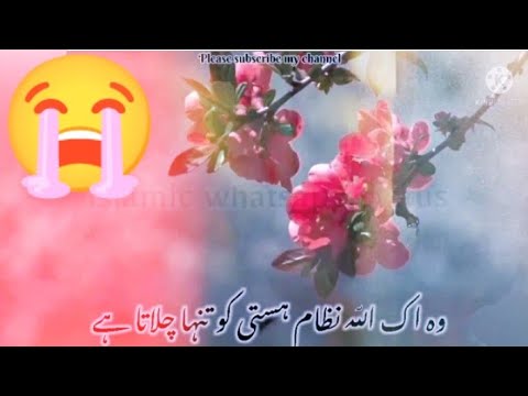 Woh Ik Allah Hai |😭🤲😭👈| wo ek allah nizam e hasti ko tanha chalata hai | new naat stauts 2023 |naats