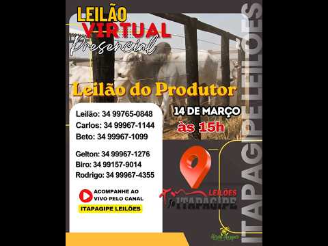 LEILÃO VIRTUAL  - ITAPAGIPE LEILÕES  14/04/2026- ITAPAGIPE-MG.