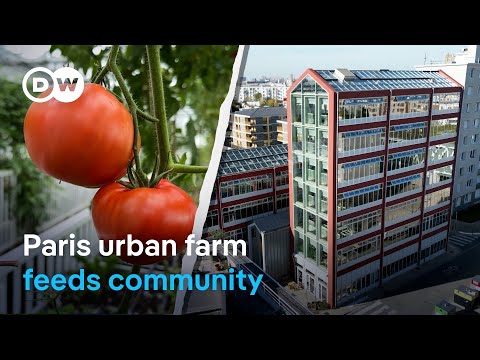France: Paris urban farm feeds the city, and its community spirit