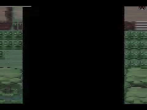 Pokémon fire red safari zone music