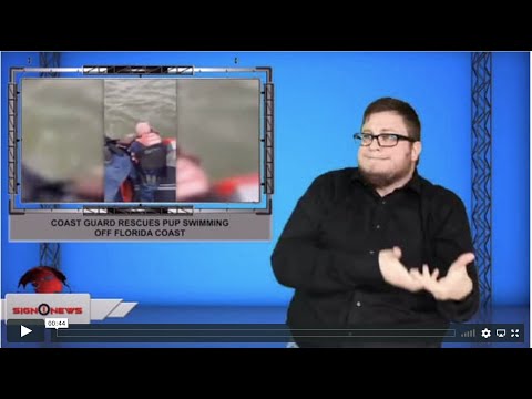 Coast guard rescues pup swimming off Florida coast (ASL - 12.7.19)