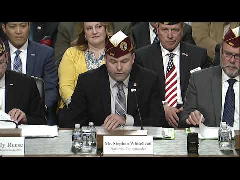 DAV%20National%20Commander%20Whitehead%20at%20a%20Senate%20Veterans%27%20Affairs%20Hearing%20%2D%20February%2025%2C%202020