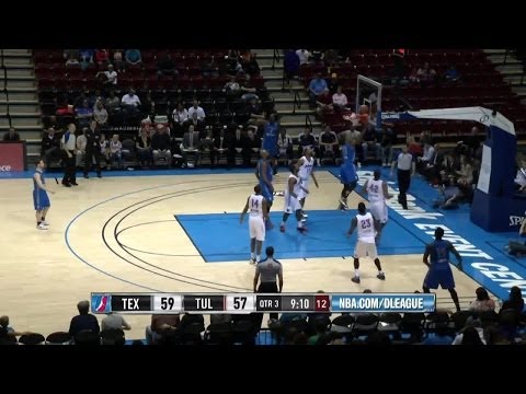 Ricky Ledo - Highlights of 2013-14 NBA D-League Season