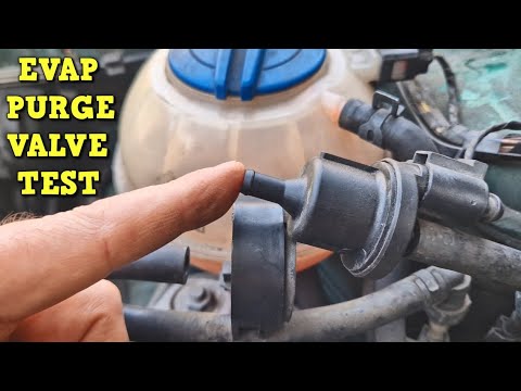 Simple Evap Purge Valve Test