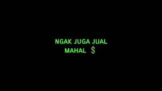 Download lagu Ccp lirik lagu jomblo bahagia 😀 mp3
