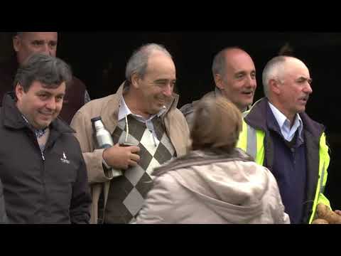 Nuevas obras de electrificación rural benefician a dos escuelas rurales y 25 vecinos en Cerro Largo