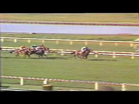 1984 MRC Memsie Stakes