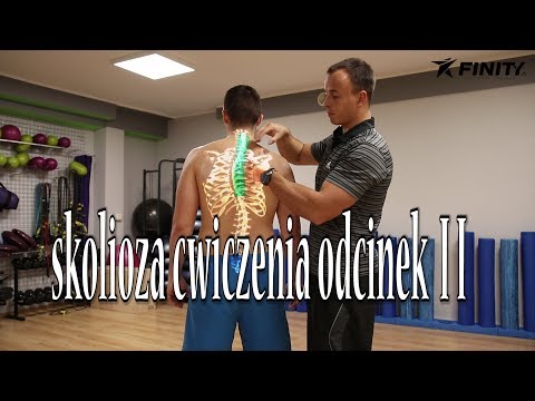 Ćwiczenia dla rozwoju różnych grup mięśniowych Paul Dubrovsky kulturystyka