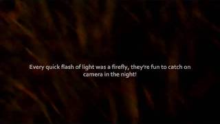 Chasing Fireflies