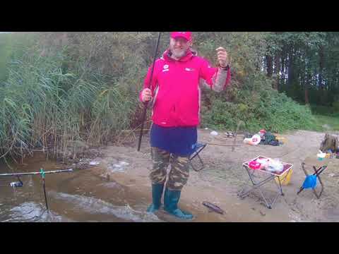 Рыбалка в Шатуре 2023 середина сентября