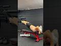 5 Steps to Master The Dragon Flag #core